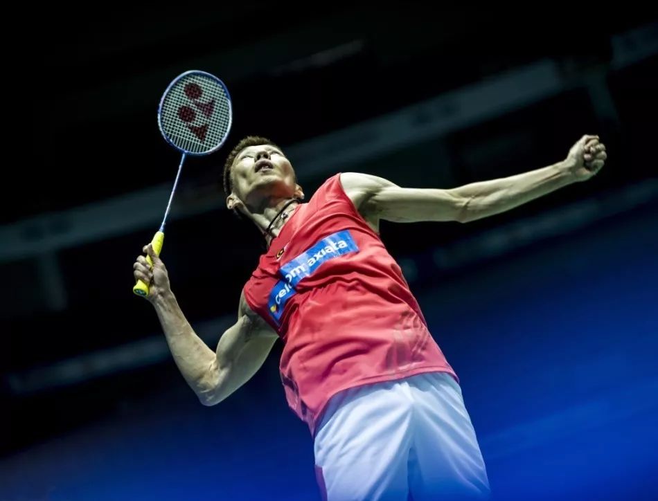 而灰熊方面 而灰熊方面