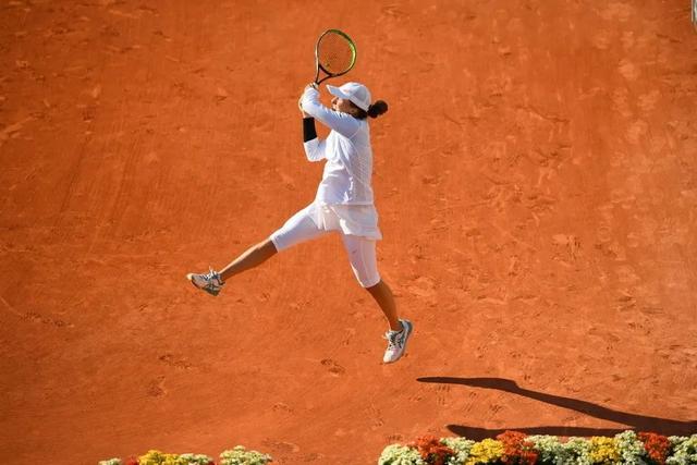 花且经验老 花且经验老