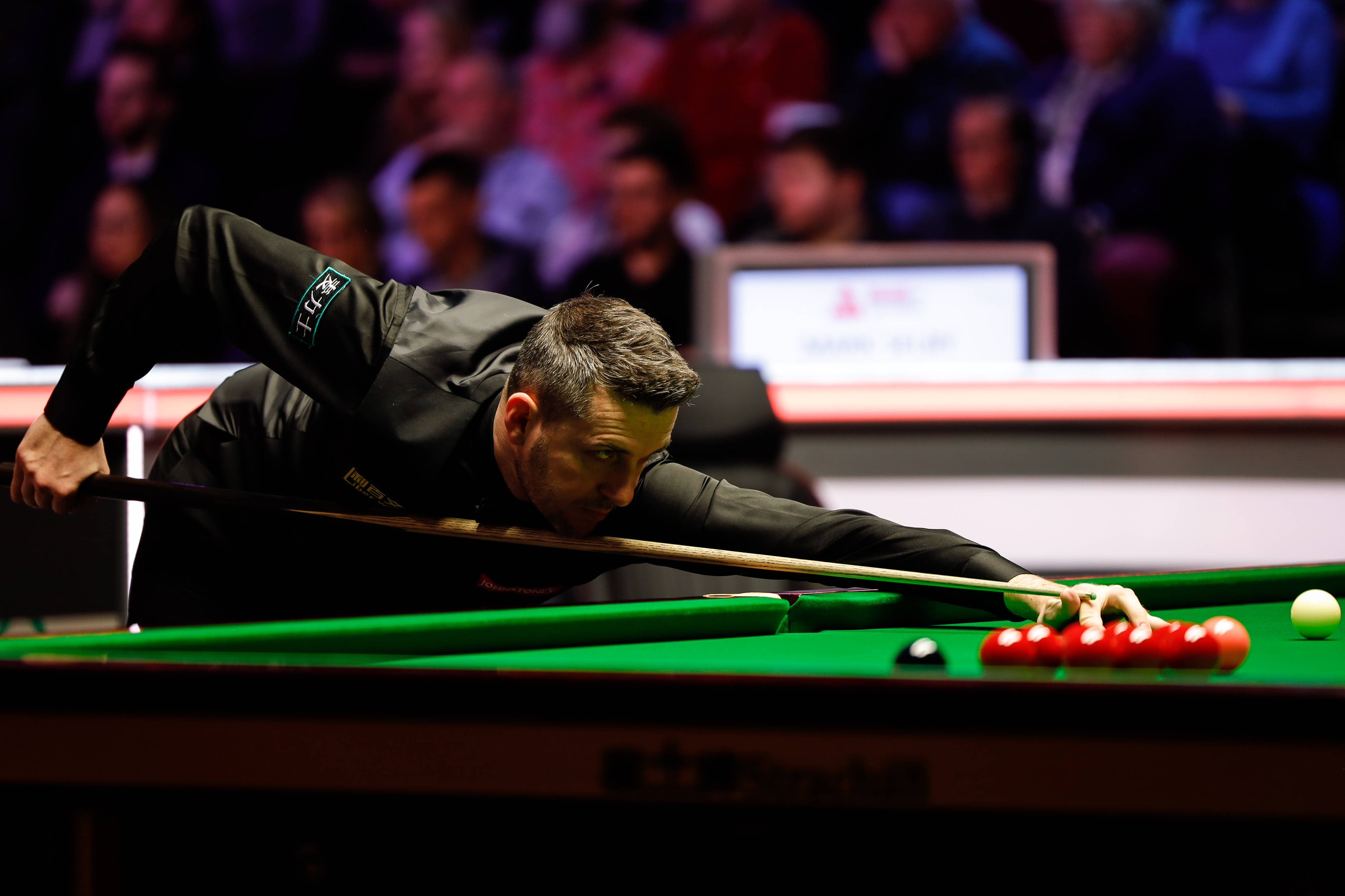 我可以帮你 我可以帮你